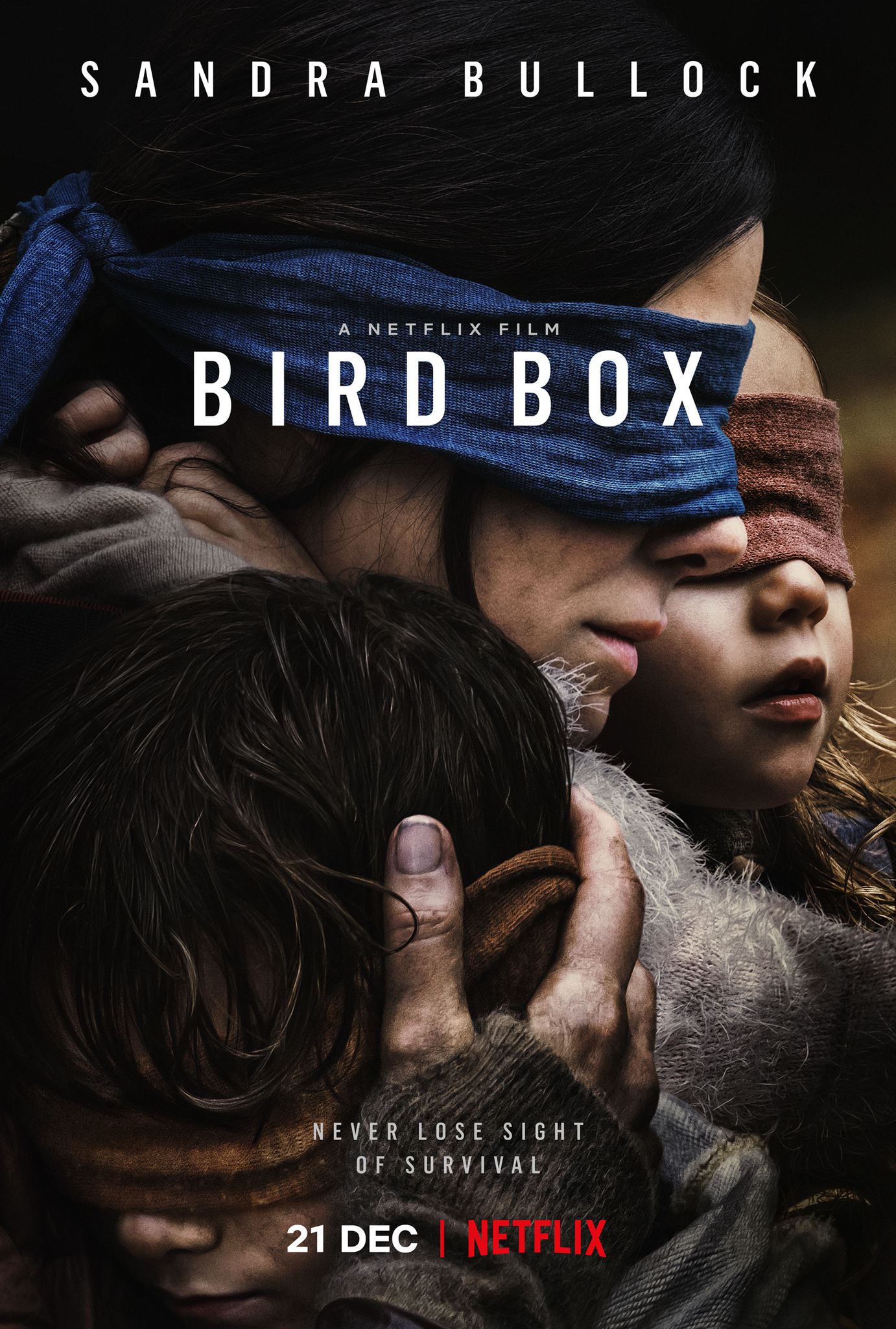 Bird Box (aka The Best Movie Ever)